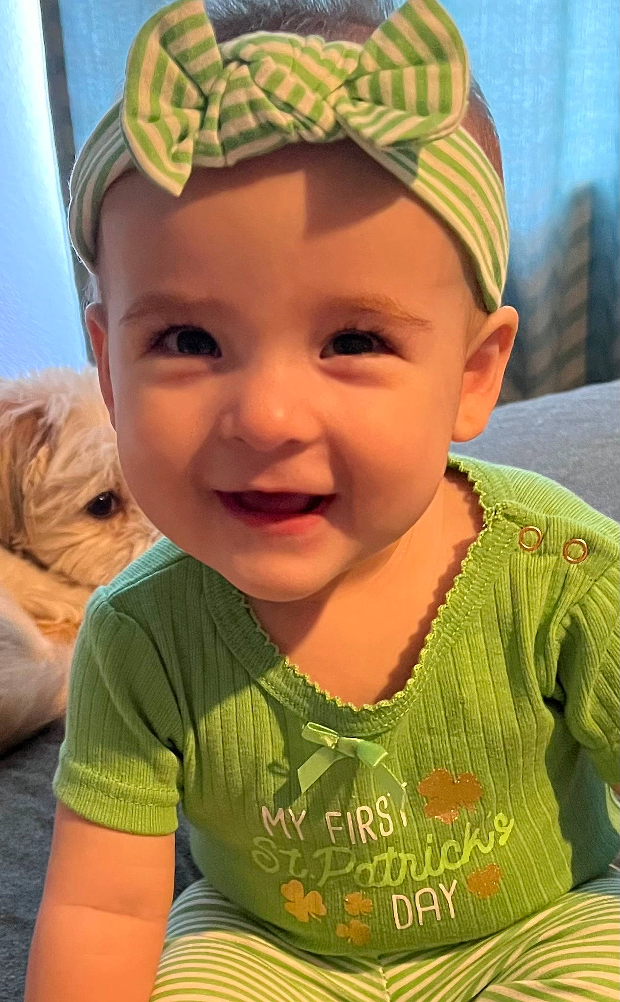 Mila is registered to the contest to win money with this photo: arm, cheek, chin, clothing, dog, eye, eyebrow, face, facial_expression, forehead, green, hair, hairstyle, head, headwear, joy, lip, mouth, nose, organ