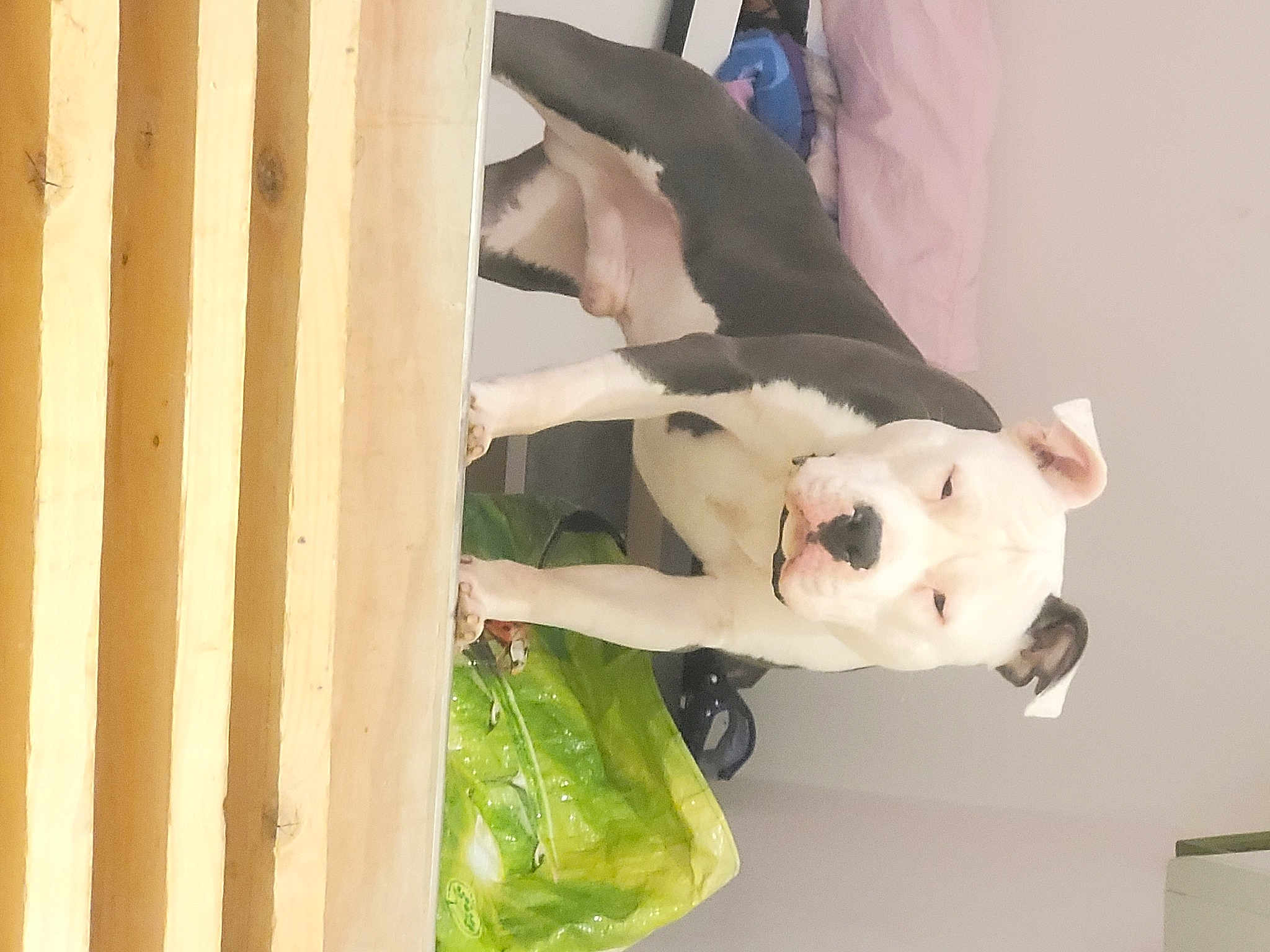 Tyson