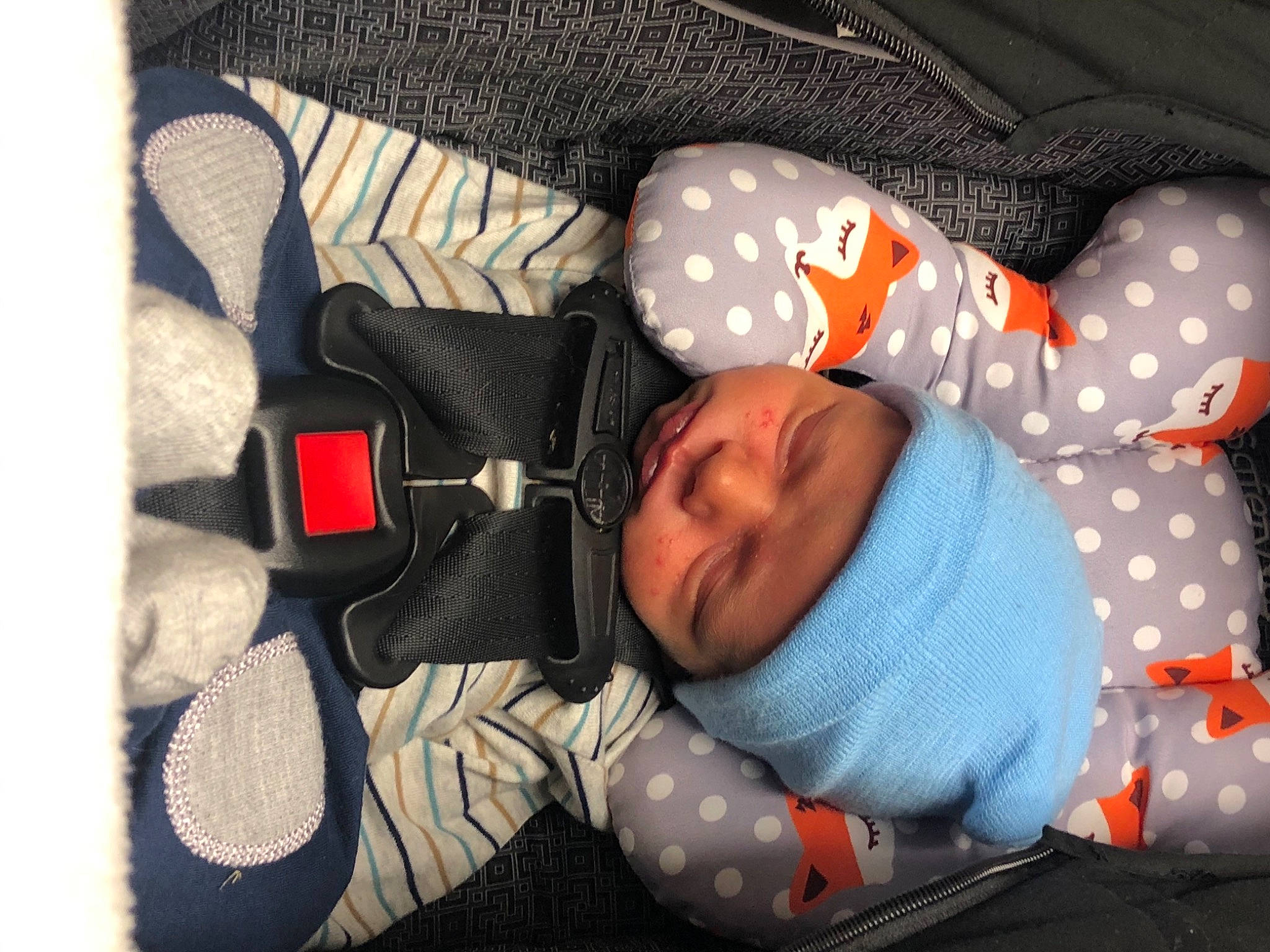 Martin is registered to the contest to win money with this photo: baby, baby_products, baby_sleeping, baby_toddler_clothing, bedtime, carmine, child, comfort, fashion_accessory, glasses, headwear, linens, nap, pattern, person, product, room, sleep, sleeve, toddler