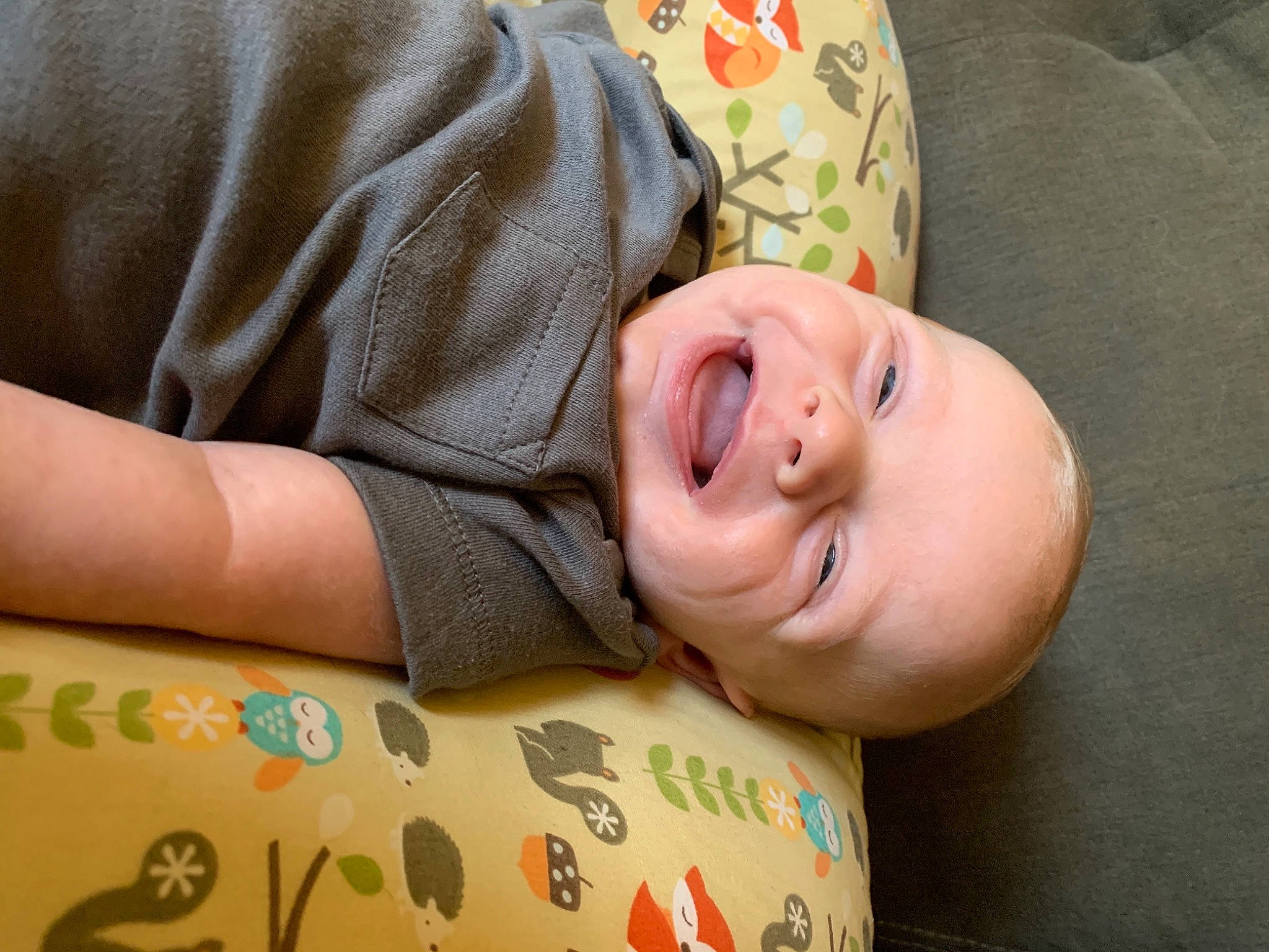 Martin joined the competition — help win amazing prizes! arm, baby, baby_toddler_clothing, cheek, comfort, elbow, eye, glasses, grass, hand, happy, head, human_body, neck, nose, person, skin, sleeve, smile, toddler