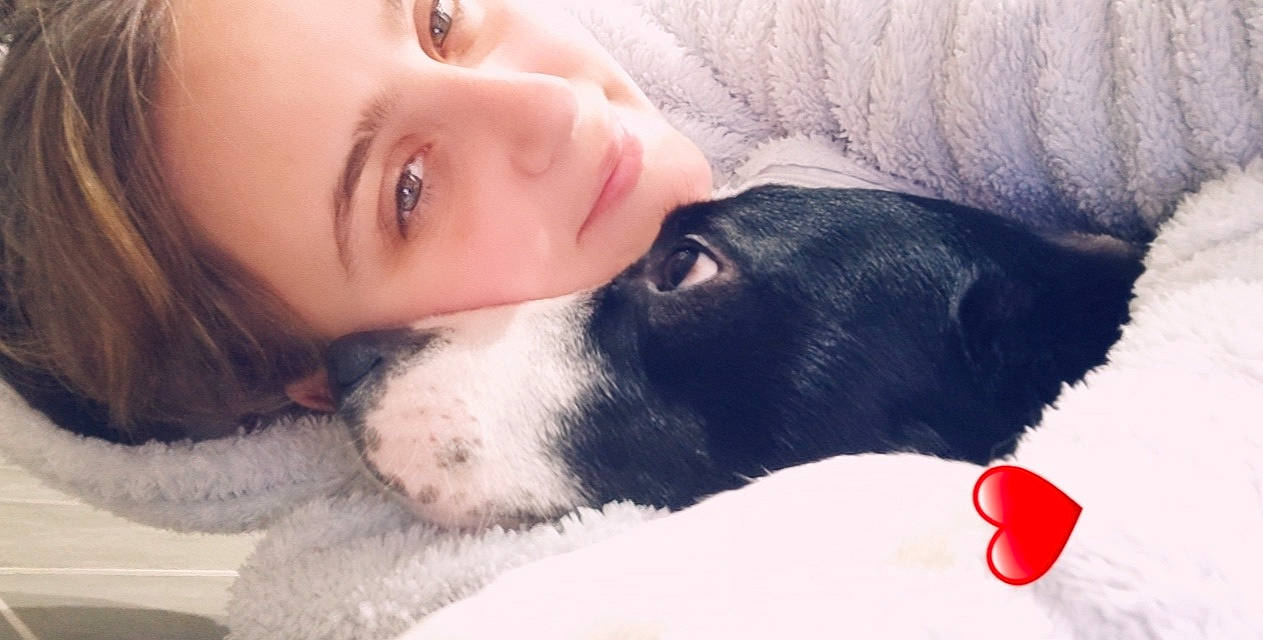 Tilou participe au concours pour gagner de l'argent avec cette photo : carnivore, comfort, companion_dog, dog, dog_breed, ear, eye, eyelash, face, gesture, happy, human_body, jaw, mammal, nose, smile, snout, sporting_group, vertebrate, working_animal