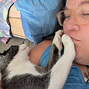 Nénette a rejoint le concours — aidez-le/la à gagner de superbes lots ! cat, person, glasses, paw, face, blue_shirt, denim, pillow, blanket, indoor, pet, closeup, relaxed, cuddle, resting, feline, whiskers, casual, home, affection