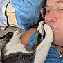 cat, person, glasses, paw, face, blue_shirt, denim, pillow, blanket, indoor, pet, closeup, relaxed, cuddle, resting, feline, whiskers, casual, home, affection