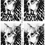 Titch joined the competition — help win amazing prizes! dog, small_dog, chihuahua, black_and_white, vintage, collage, blanket, pet, animal, cute, portrait, fur, ears, sitting, nostalgic, texture, indoor, companion, four_images, monochrome