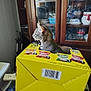 cat, tabby, box, yellow_box, snack_box, indoor, cabinet, glassware, snowman_decoration, curious, pet, feline, container, sitting, household, reflection, window, wooden_furniture, barcode, side_view