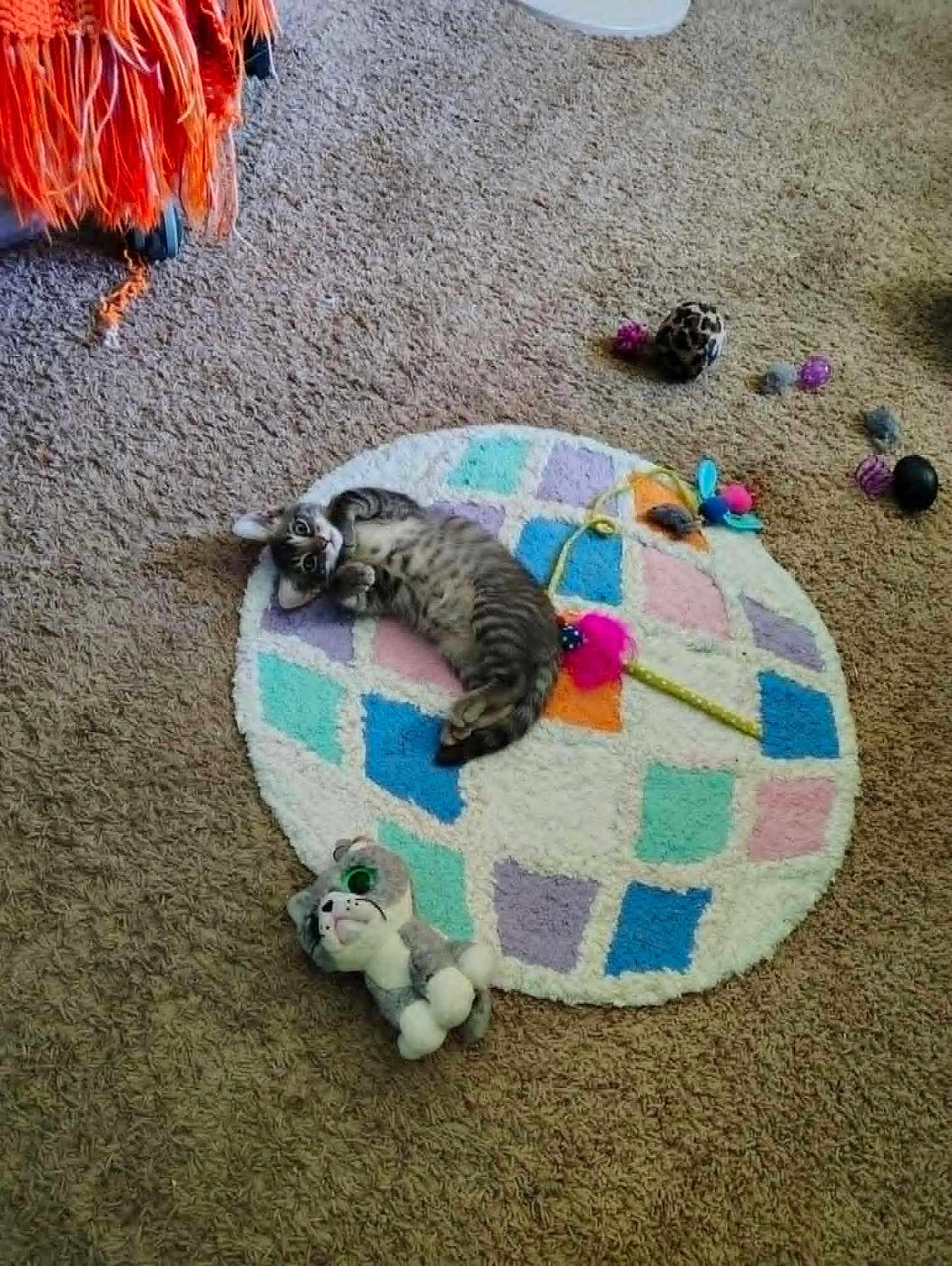 Gizmo