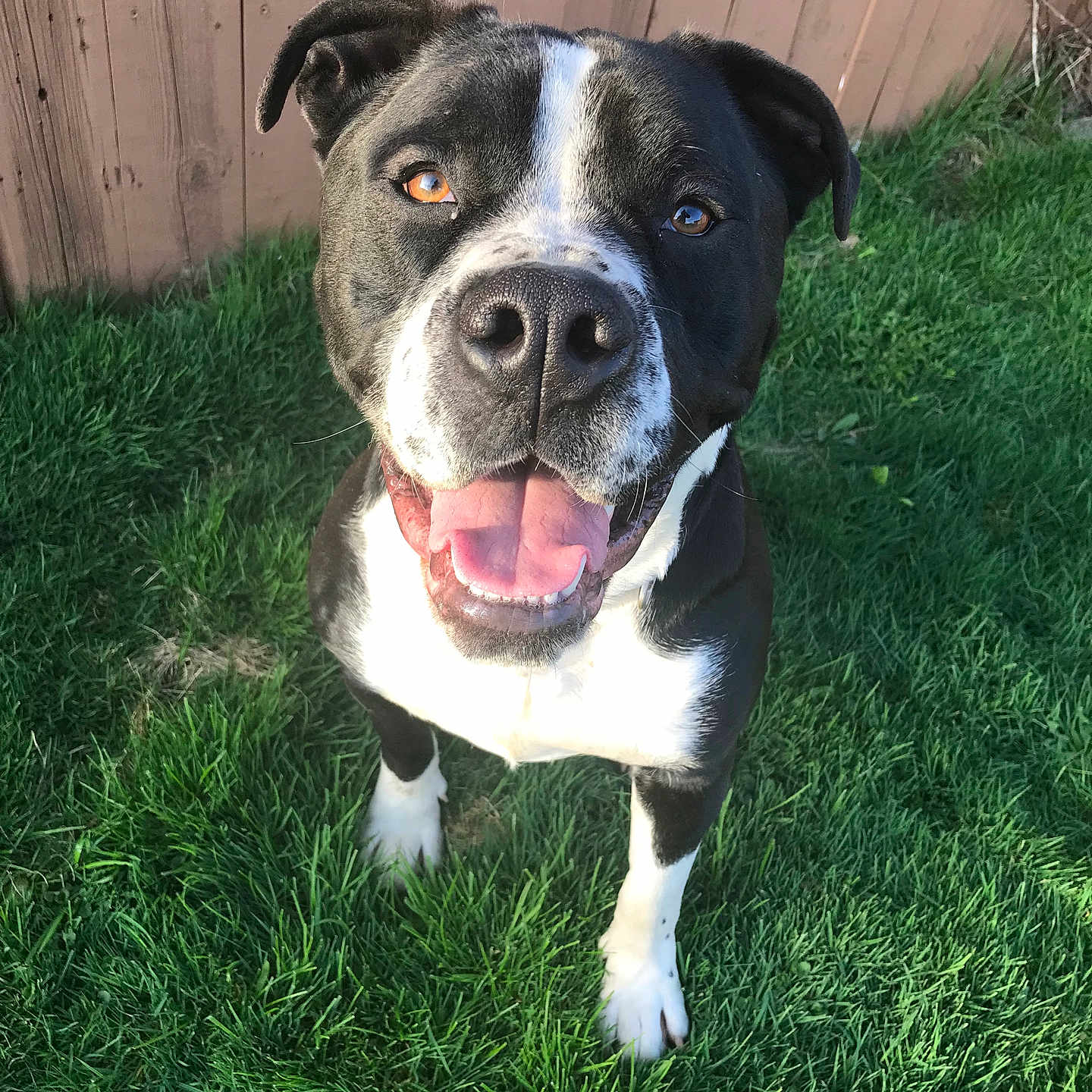 Zuko
