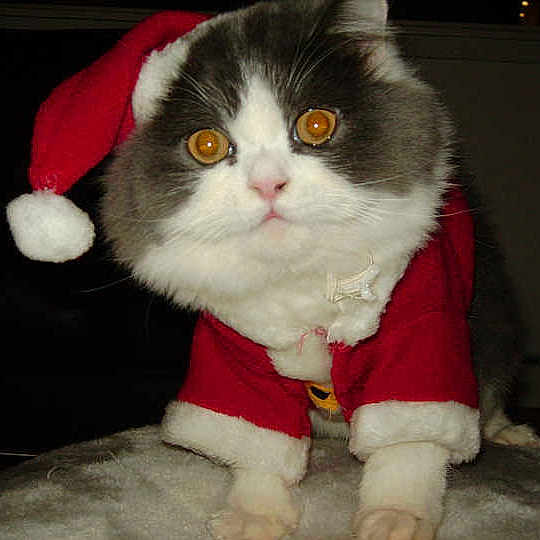 Sebastian is registered to the contest to win money with this photo: