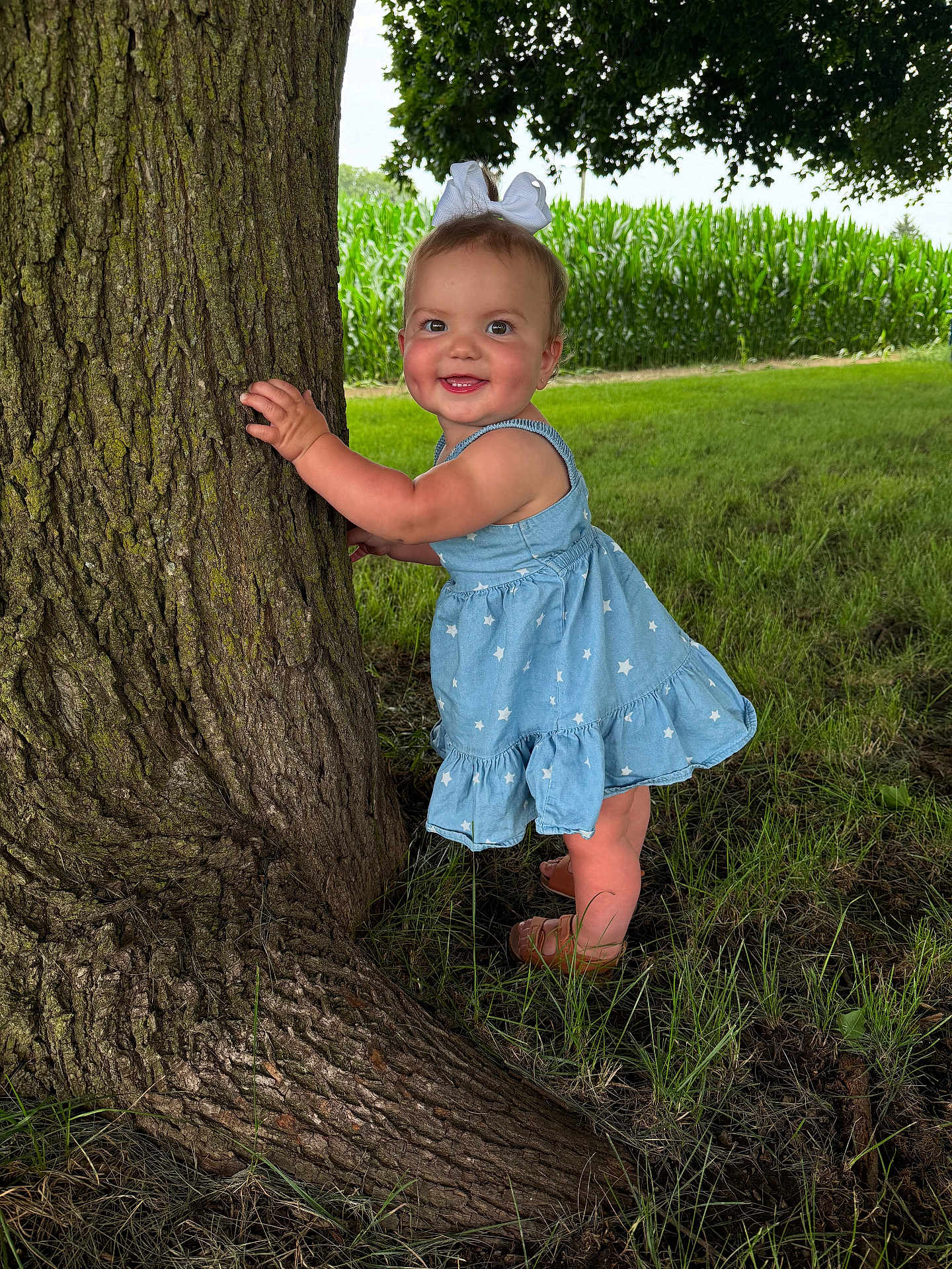 Scarlett joined the competition — help win amazing prizes! toddler, child, tree, grass, outdoor, smile, dress, bow, sandals, nature, summer, greenery, field, cornfield, happy, cute, baby, portrait, sunlight, young