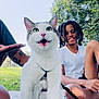 cat, child, outdoor, greenery, blanket, smiling, happy, dreadlocks, white_shirt, grass, sunlight, nature, pet, animal, leaves, tree, face, sitting, daytime, park