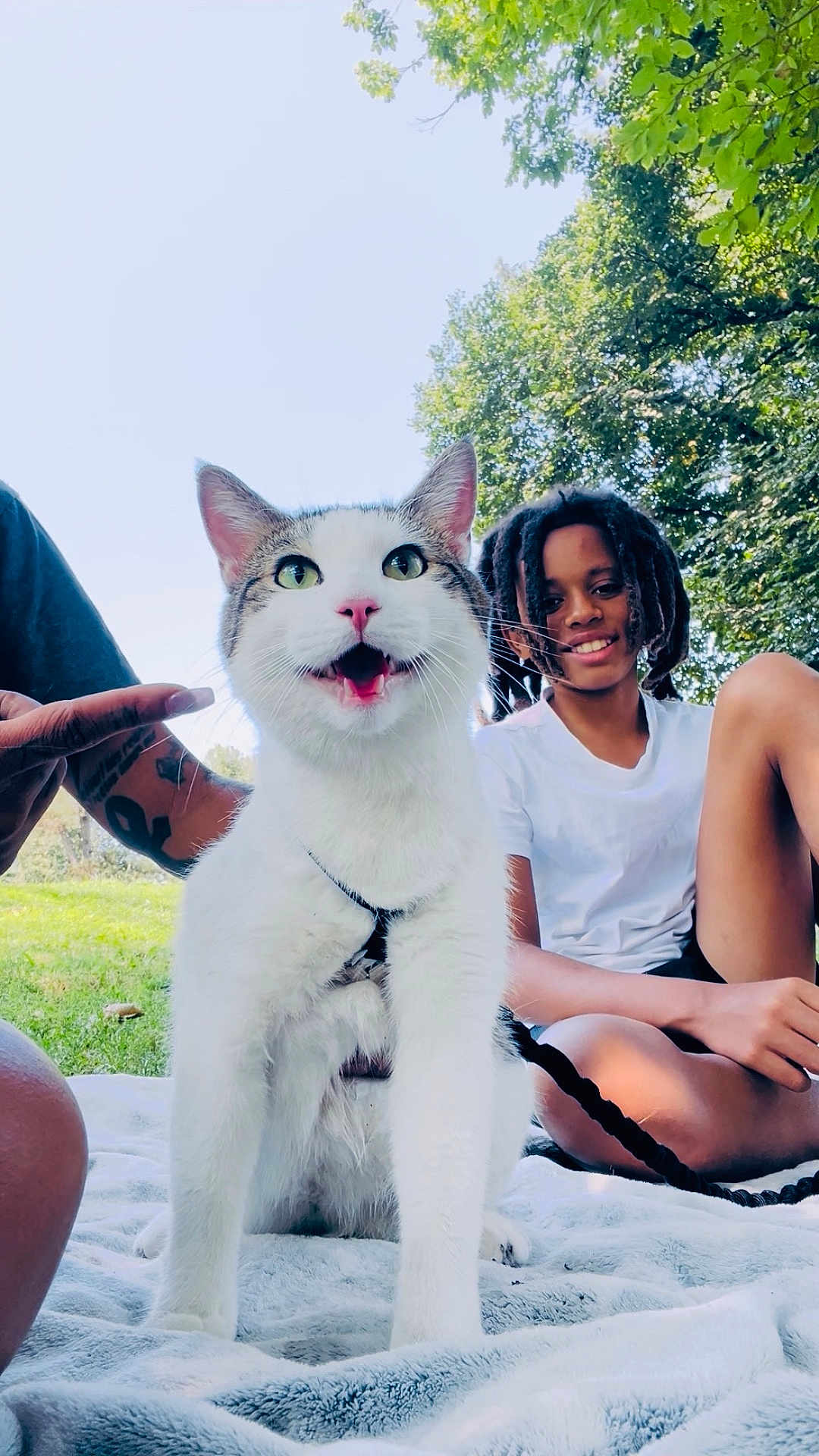 Poe is registered to the contest to win money with this photo: cat, child, outdoor, greenery, blanket, smiling, happy, dreadlocks, white_shirt, grass, sunlight, nature, pet, animal, leaves, tree, face, sitting, daytime, park