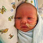 Carl is registered to the contest to win money with this photo: newborn, baby, infant, swaddled, blanket, pillow, feeding_tube, hospital, medical_tape, face, sleepy, cute, wrapped, close_up, child, person, indoors, soft_light, animal_print, lion