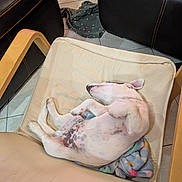 Aïko participe au concours pour gagner de l'argent avec cette photo : dog, sleeping, indoor, chair, blanket, tile_floor, pet, white_dog, black_spots, relaxed, furniture, leather_chair, home, cozy, resting, cute, animal, paw, ear, snout