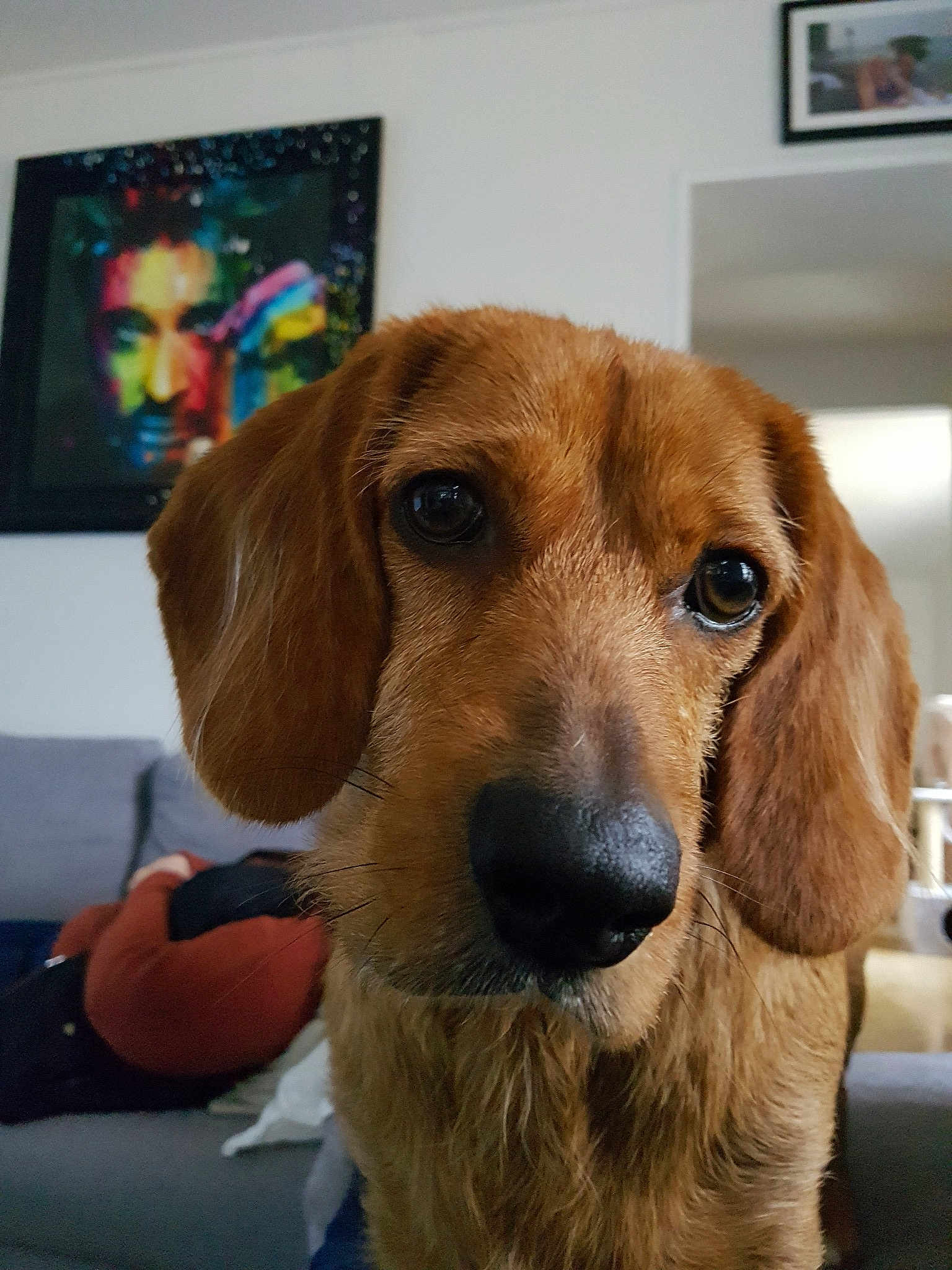 Louna