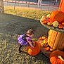 toddler, child, pumpkin, pumpkin_patch, purple_dress, grass, outdoor, daylight, wooden_spool, fall, autumn, small_pumpkins, curious, sunlight, shadow, playful, nature, festive, person, costume