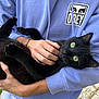 Muse a rejoint le concours — aidez-le/la à gagner de superbes lots ! black_cat, green_eyes, person, hoodie, lavender, hand, pet, animal, outdoor, pavement, casual_clothing, embrace, fur, whiskers, relaxed, curious, cute, domestic_cat, holding, portrait
