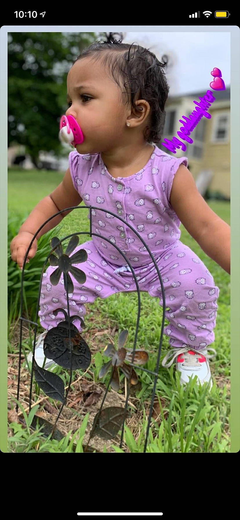 Egypt is registered to the contest to win money with this photo: adaptation, child, design, flower, grass, meadow, pattern, person, pink, plant, play, spring, toddler, wildflower
