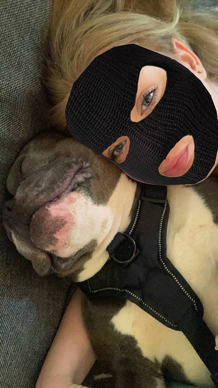 Booba a rejoint le concours — aidez-le/la à gagner de superbes lots ! beard, cap, carnivore, comfort, companion_dog, cool, dog, dog_breed, ear, eyewear, fawn, goggles, jaw, mammal, neck, nose, selfie, snout, stuffed_toy, sunglasses