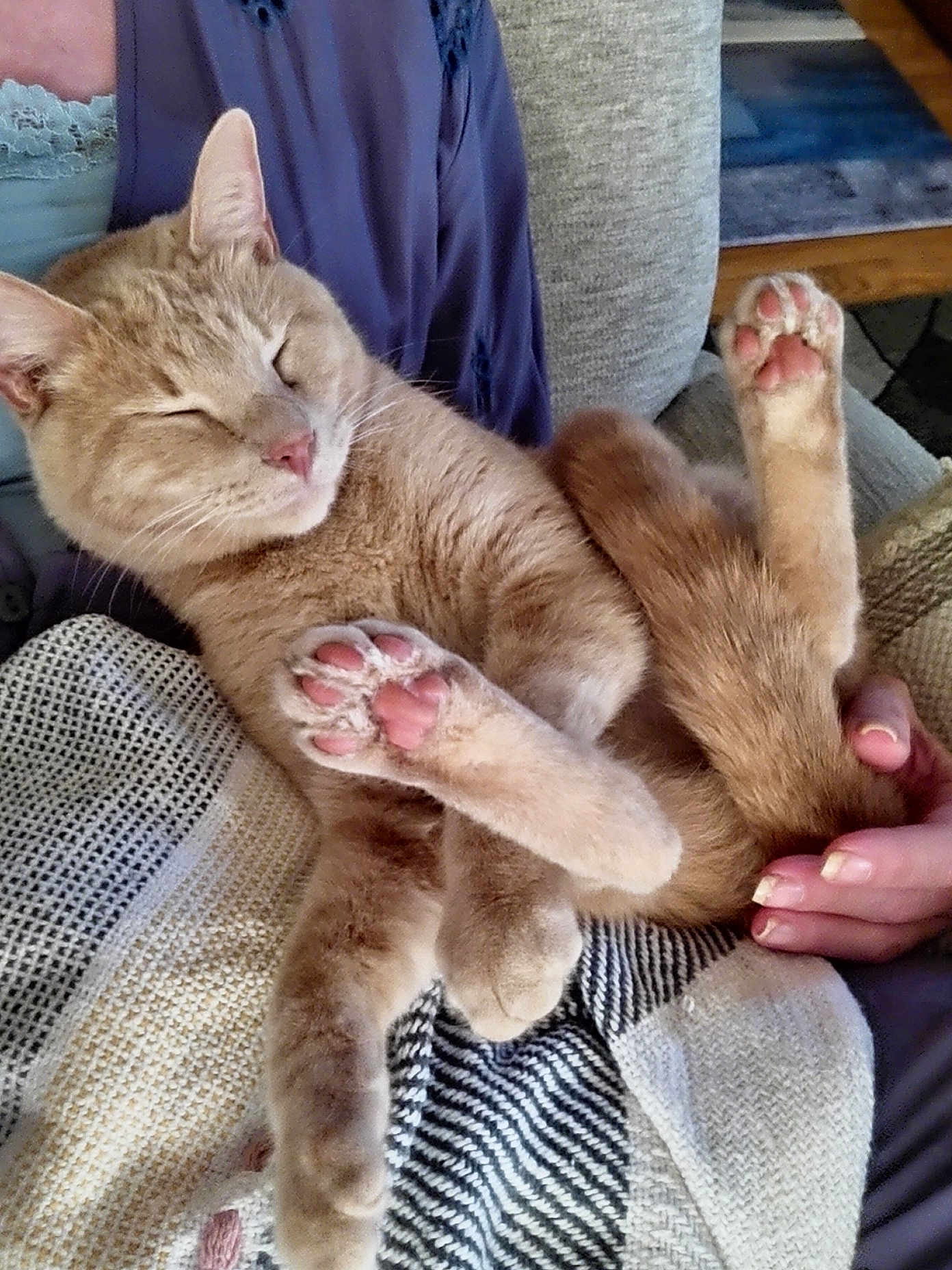 Cooper