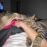 Microbe participe au concours pour gagner de l'argent avec cette photo : cat, tabby_cat, sleeping, pet, arm, blanket, bed, indoor, cozy, resting, human, animal, feline, comfort, relaxation, paw, snuggling, domestic_animal, person, sleep