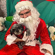 Baby joined the competition — help win amazing prizes! costume, curly_hair, cute, dog, festive, glasses, gloves, green_background, holiday, indoor, person, pet, plaid_scarf, portrait, red_background, red_suit, santa_claus, seated, smiling, white_beard