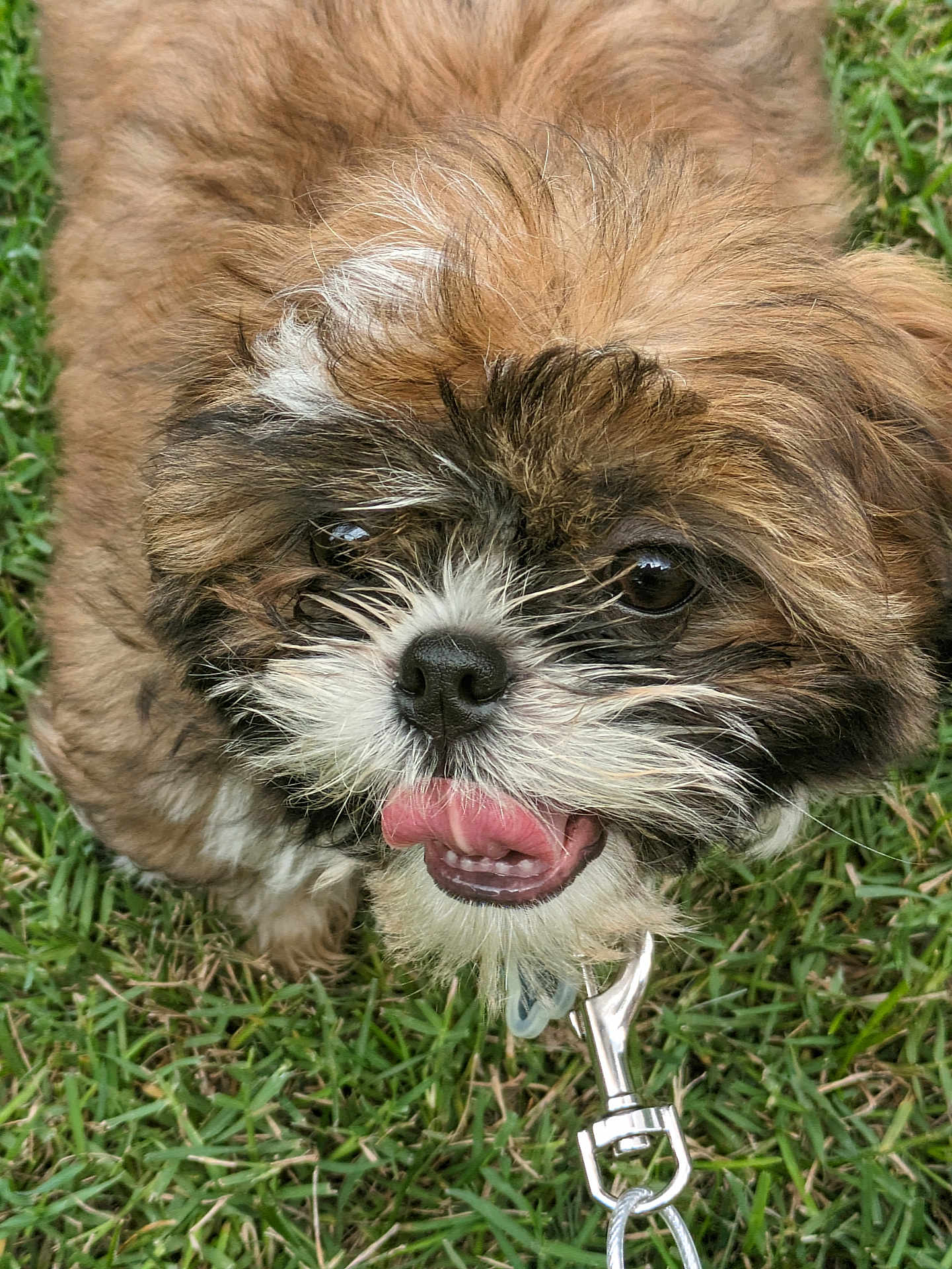 Pudge
