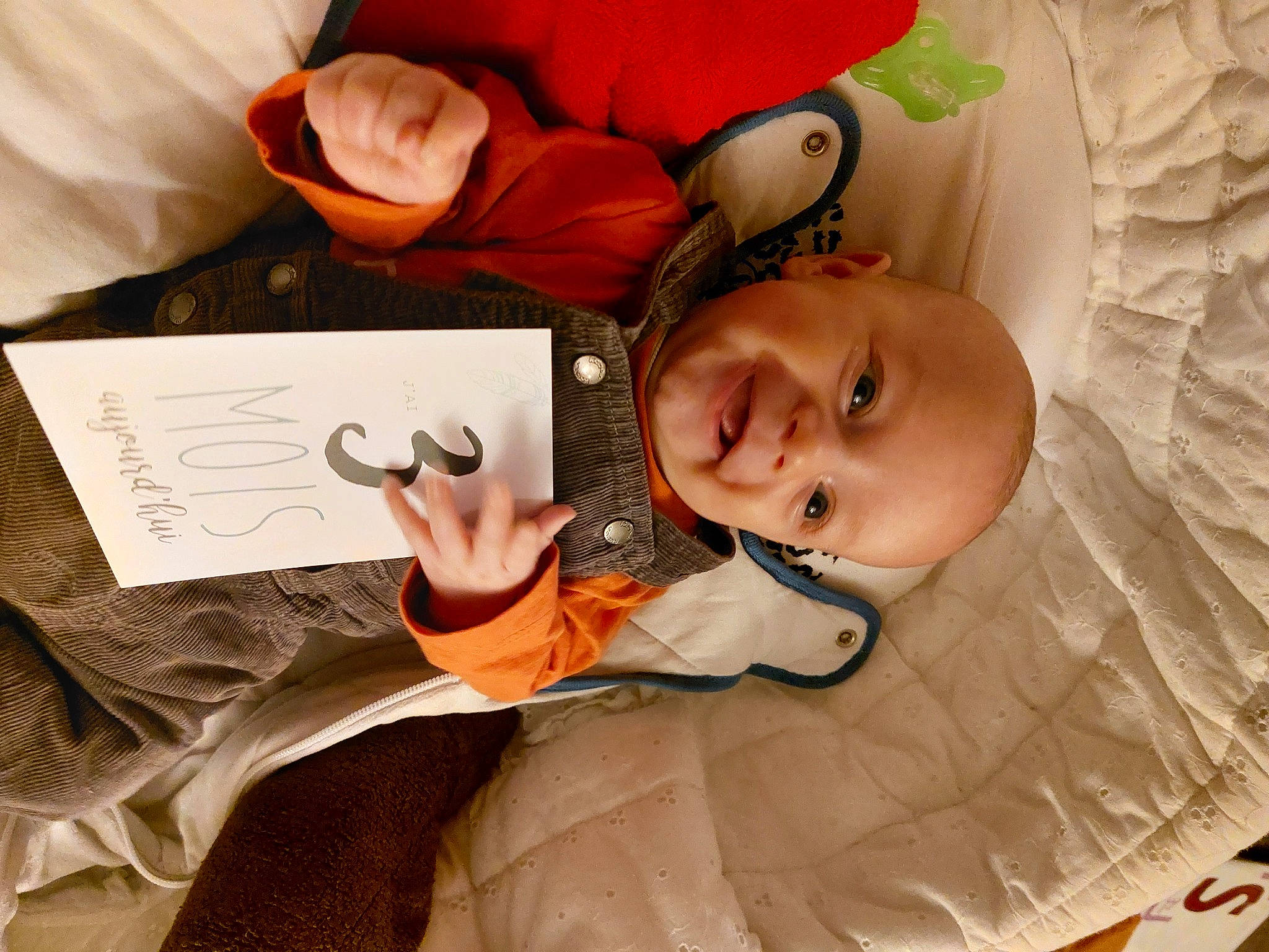 Gabin a rejoint le concours — aidez-le/la à gagner de superbes lots ! baby, book, carmine, child, comfort, finger, hand, handwriting, happy, human_body, nail, nap, person, plant, room, rose, sitting, textile, toddler, tree