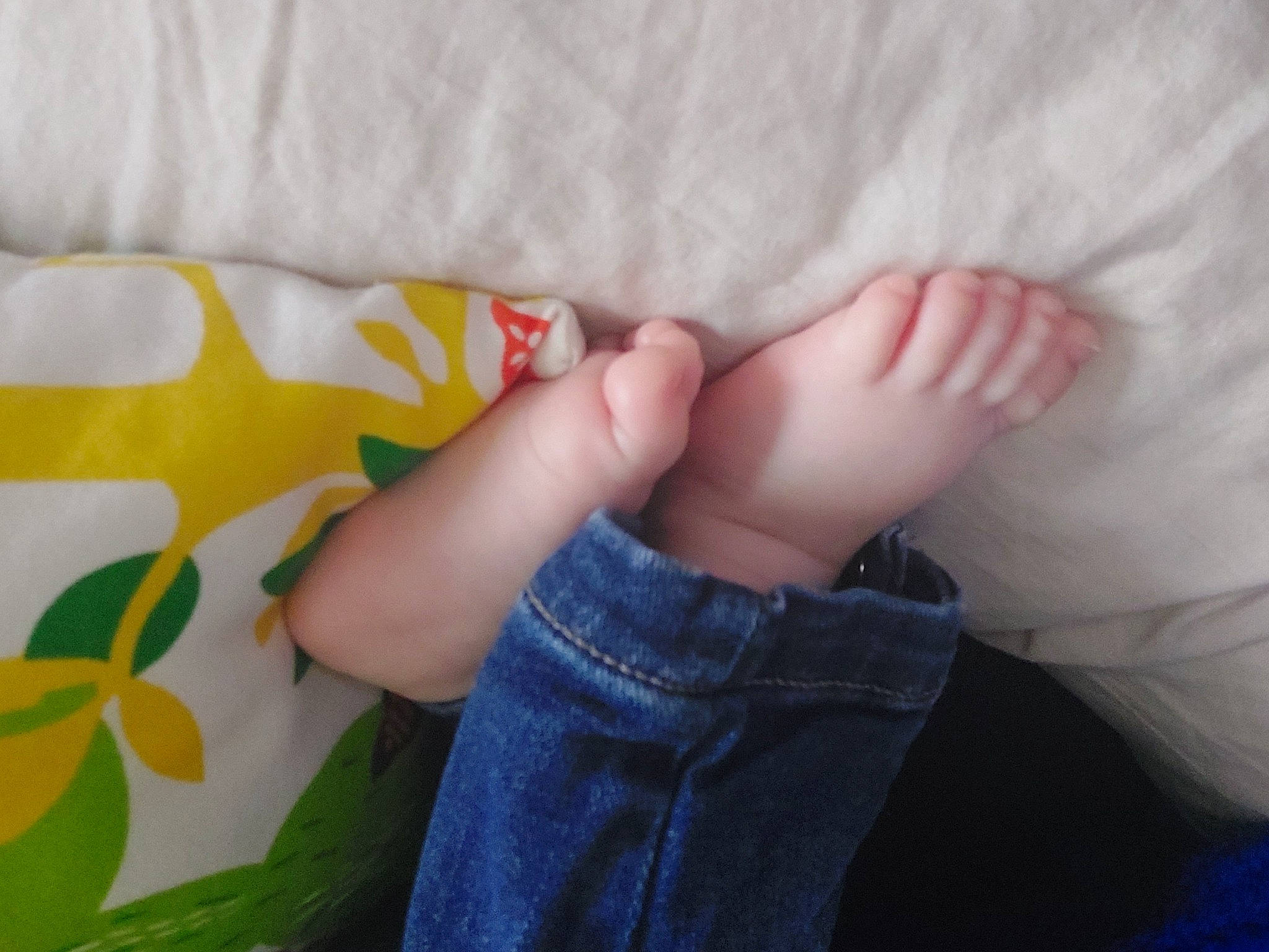 Gabin participe au concours pour gagner de l'argent avec cette photo : baby_toddler_clothing, barefoot, comfort, dress, finger, foot, gesture, grass, hand, human_leg, jeans, joint, leaf, leg, nail, skin, textile, thumb, toddler, toe