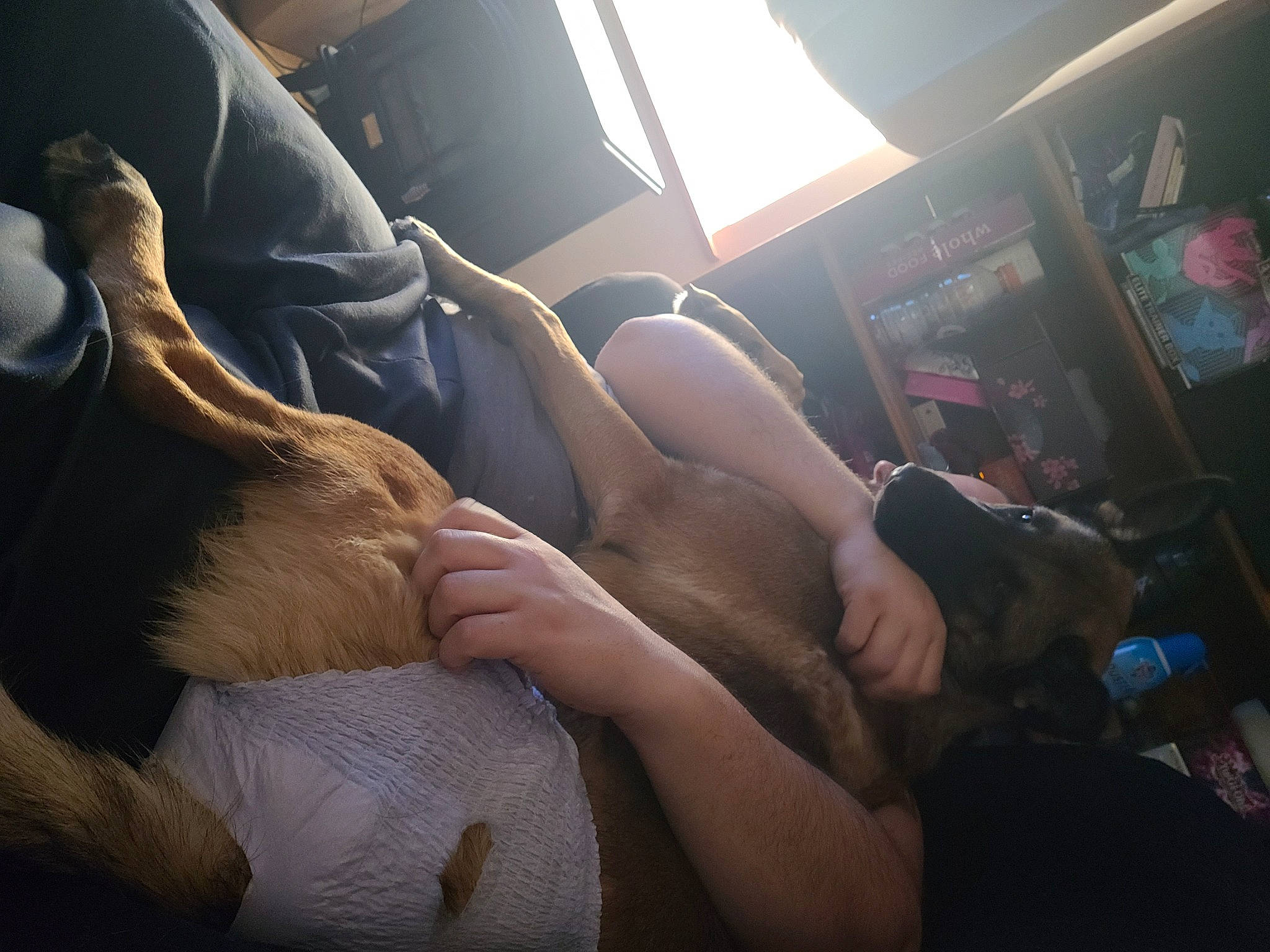 Loba joined the competition — help win amazing prizes! arm, comfort, elbow, eyewear, finger, foot, gesture, hand, human_leg, interaction, joint, knee, lap, leg, nail, passenger, thigh, thumb, window, wrist