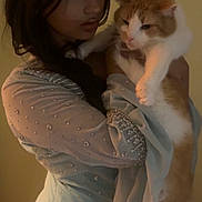 Caitlyn joined the competition — help win amazing prizes! animal, cat, costume, cozy, cute, dress, facial_expression, holding, indoor, long_hair, orange_cat, person, pet, portrait, soft_lighting, stickers, tiara, wall_decor, white_cat, woman