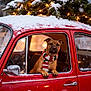 dog, scarf, red_car, snow, christmas_tree, fairy_lights, winter, holiday, vintage_car, window, festive, decorations, cute, pet, animal, outdoor, seasonal, cold_weather, cozy, portrait
