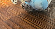 Hiemdall is registered to the contest to win money with this photo: cat, tabby_cat, toy, plush_toy, wooden_floor, indoor, pet, animal, playful, paw, claw, whiskers, closeup, cute, lying_down, brown, feline, domestic_cat, floor, household