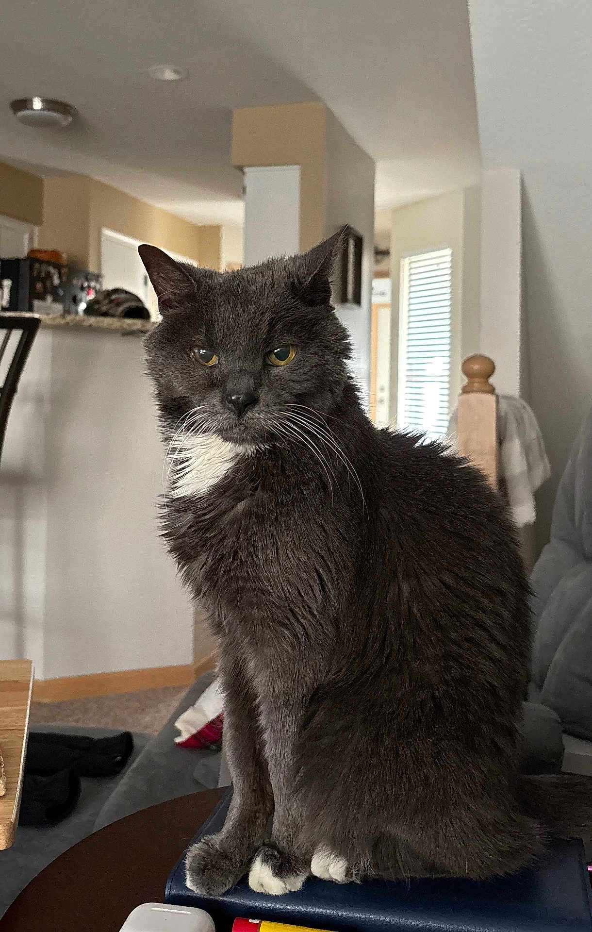 Max