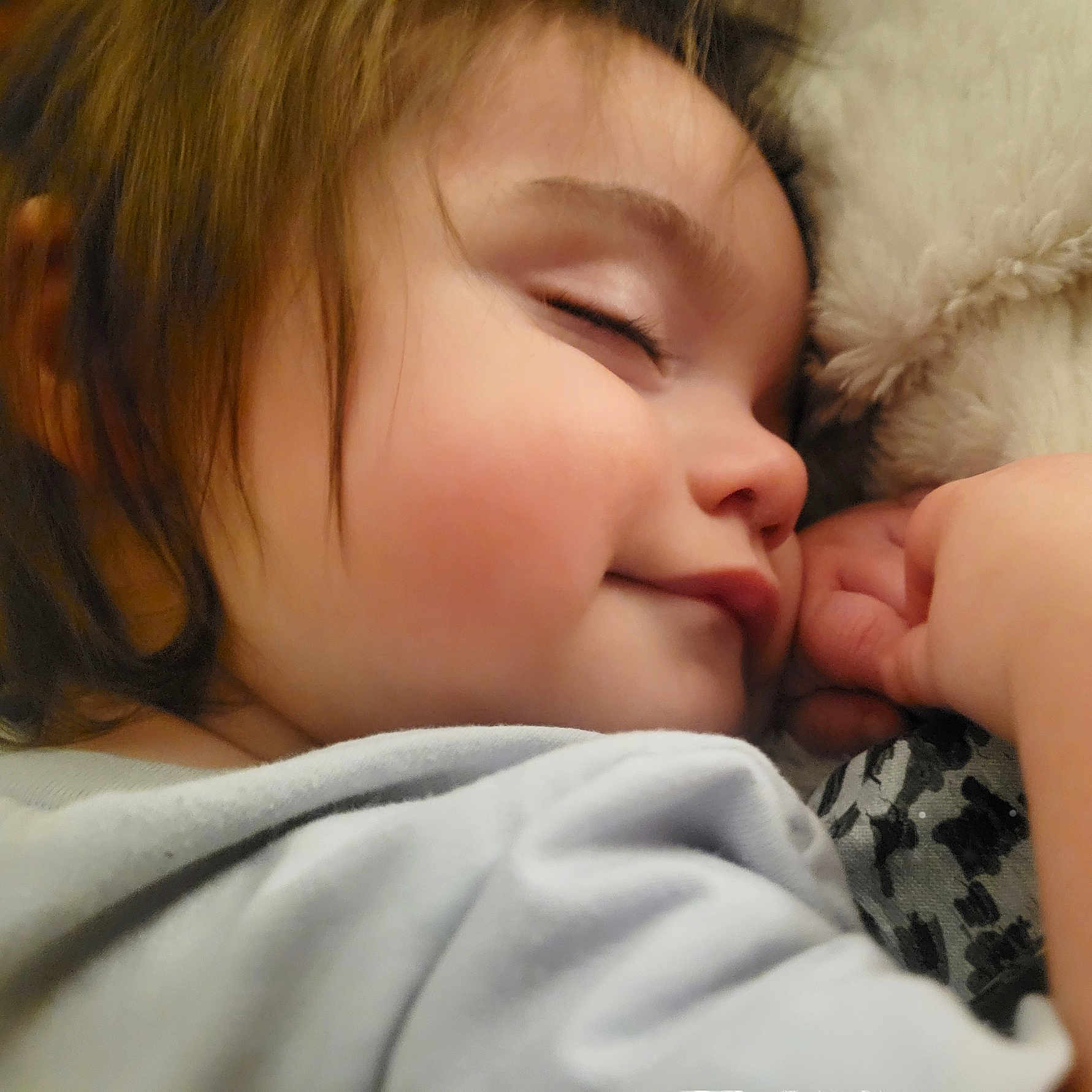 Ayla joined the competition — help win amazing prizes! baby, blanket, bodypart, ear, face, finger, hand, head, mouth, newborn, person, photography, portrait, sleeping