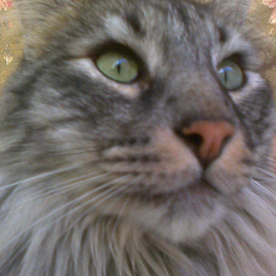 Billy