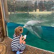 Zyli is registered to the contest to win money with this photo: child, dolphin, aquarium, glass, water, striped_dress, curly_hair, sneakers, ticket, snack, squatting, interaction, marine_animal, outdoor, daylight, reflection, concrete_floor, wildlife, cute, curiosity