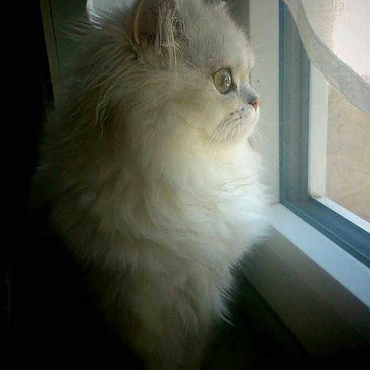 Jade a rejoint le concours — aidez-le/la à gagner de superbes lots !