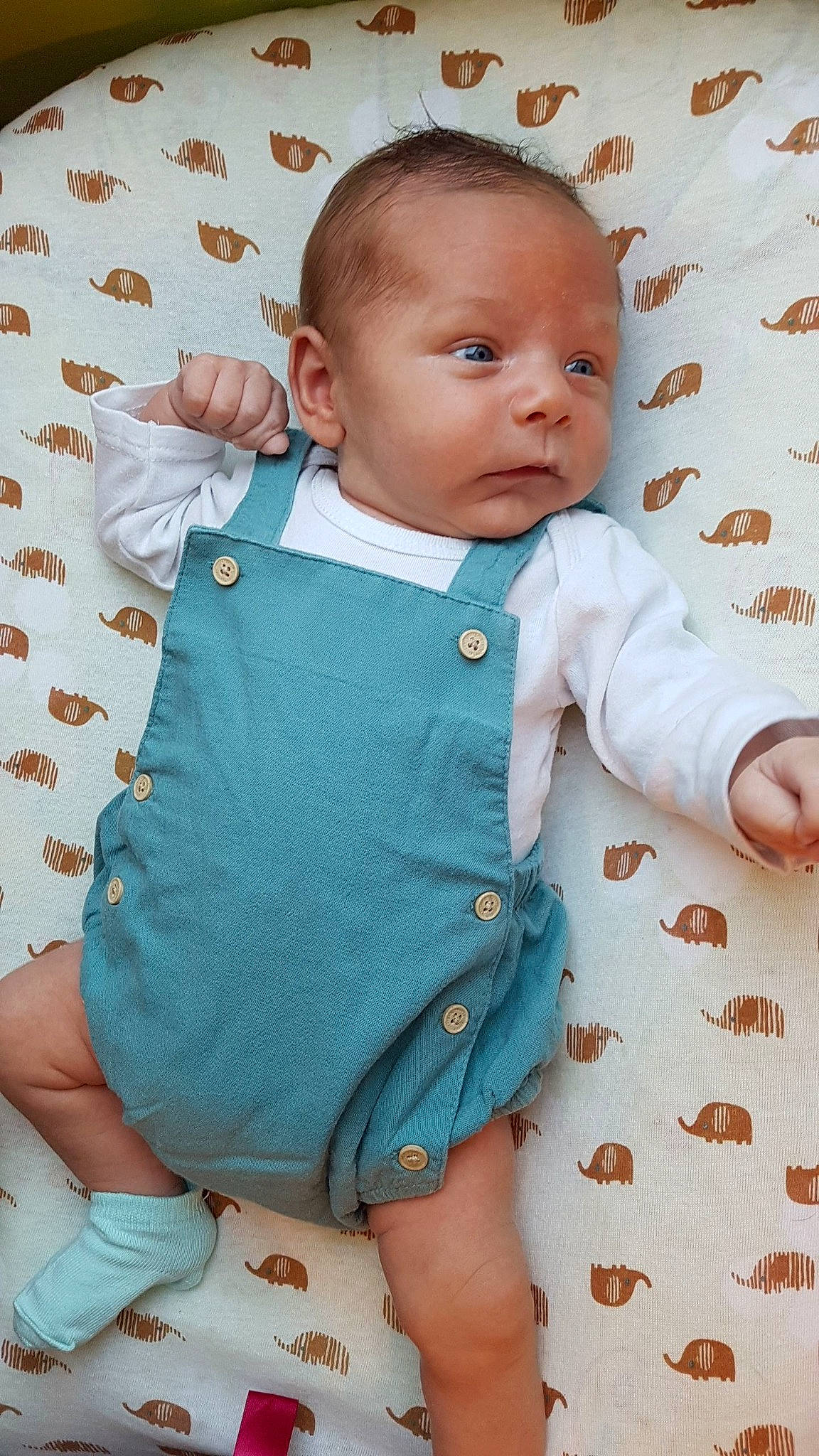 Ulysse participe au concours pour gagner de l'argent avec cette photo : baby, baby_products, baby_toddler_clothing, blue, cheek, child, person, product, skin, sleeve, toddler, turquoise