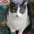 Patty L. W.