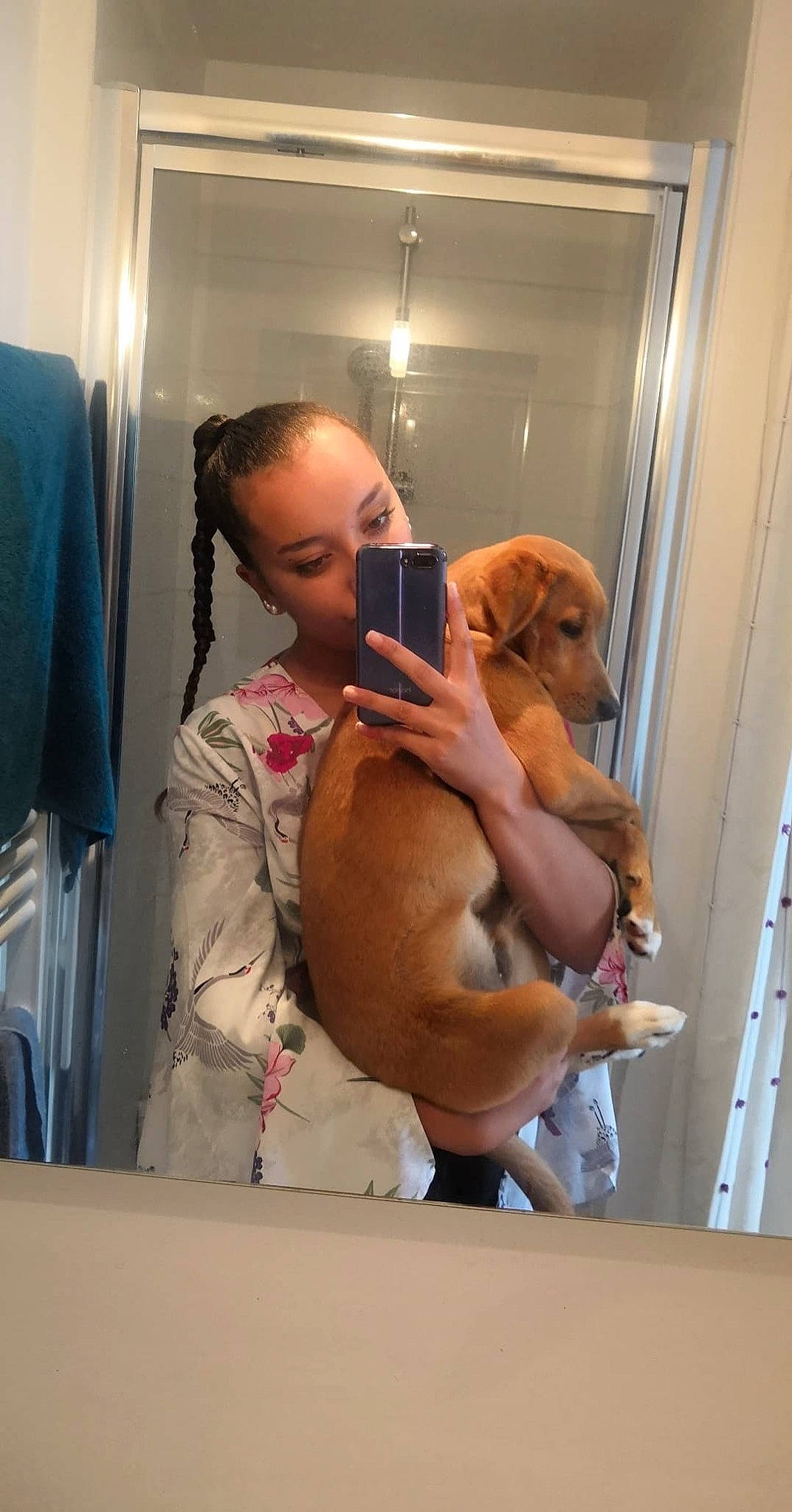 Yago participe au concours pour gagner de l'argent avec cette photo : canidae, carnivore, dog, dog_breed, fawn, muscle, sporting_group