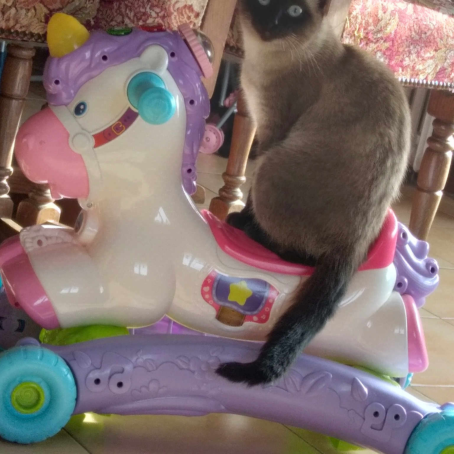 Nala