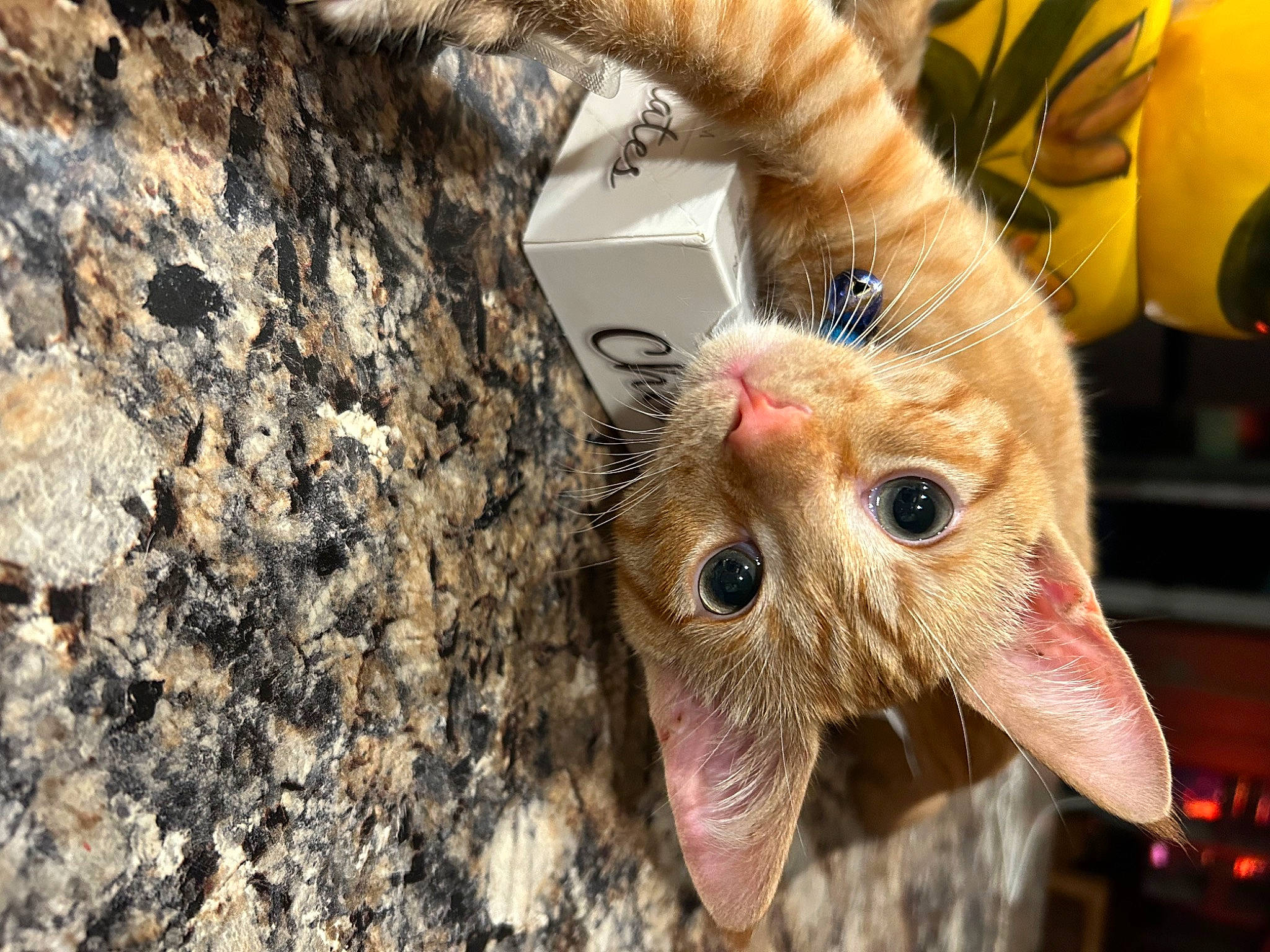 Sugar