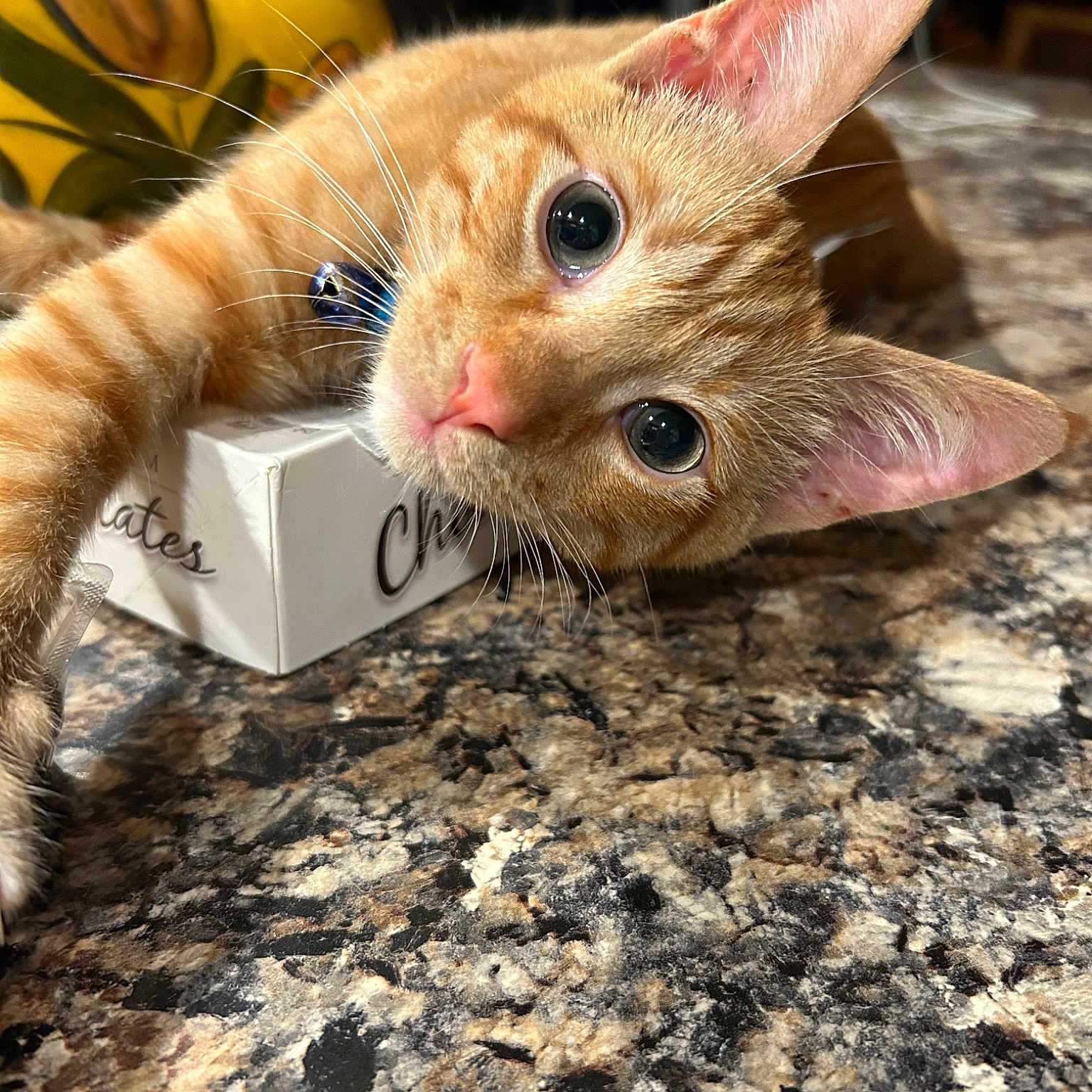 Sugar