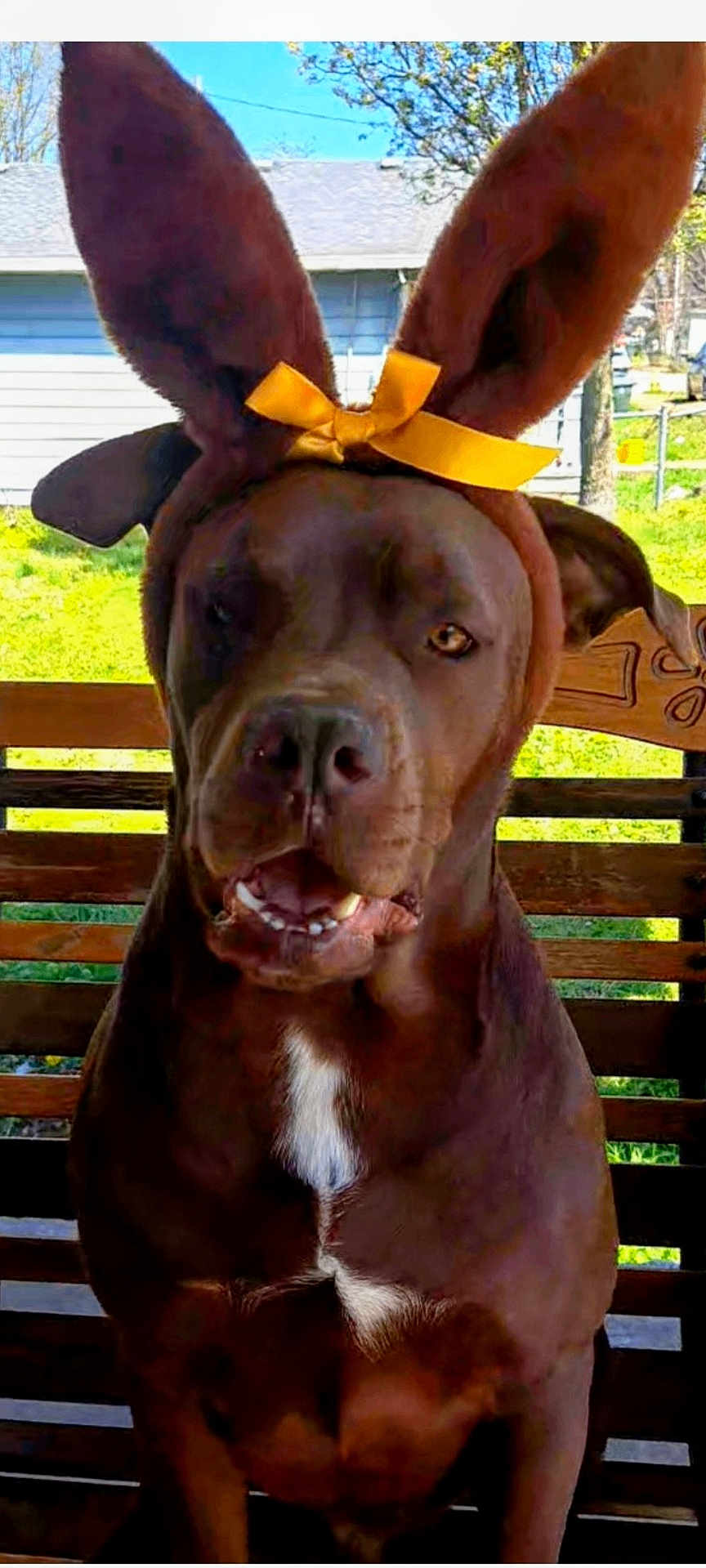 Hershey