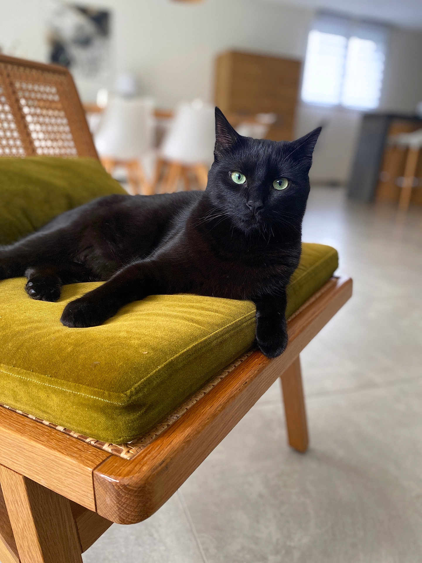 Salem