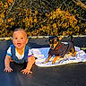 Nitro is registered to the contest to win money with this photo: baby, dog, trampoline, autumn, outdoor, crawling, pet, clothing, leaf, blanket, sunlight, nature, fall_foliage, cute, playful, animal, child, happy, small_dog, canine
