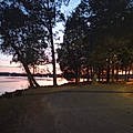 Michelle H.
