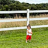 Aleezay is registered to the contest to win money with this photo: toddler, child, grass, white_fence, outdoor, nature, trees, field, greenery, summer, casual_clothing, red_shorts, white_top, small_pony_tail, curious, standing, daytime, person, young_child, playful