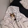animal, bed, black_sheets, calico_cat, cat, comfort, cozy, curious, cute, duvet, feline, home, indoor, leaf_pattern, looking, pet, pillow, relaxed, resting, white_bedding