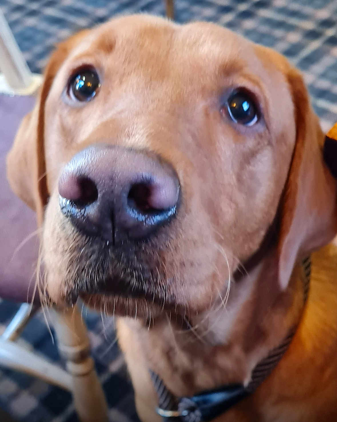 Flynn